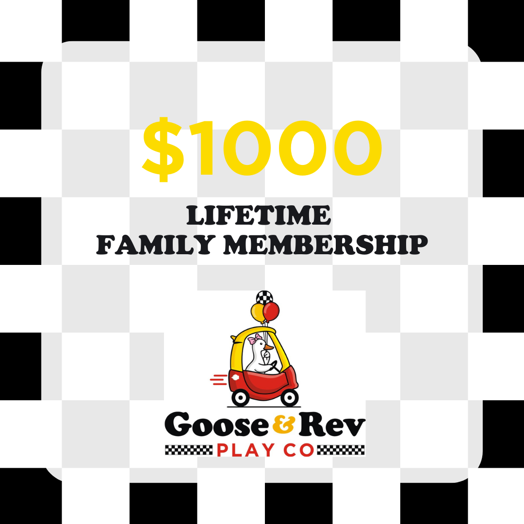 Life Time Family Membership at Play Co