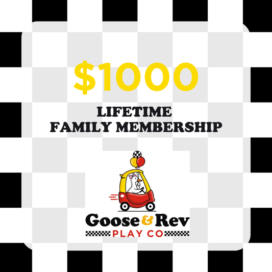 Life Time Family Membership at Play Co